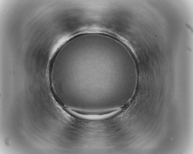 X0000095531464200712281511
