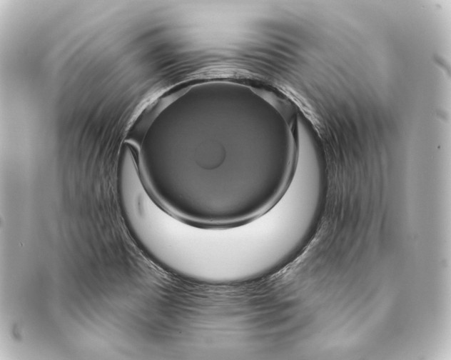 X0000095531465200712281511