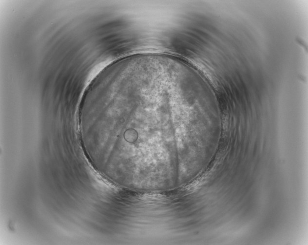 X0000095531466200712281511