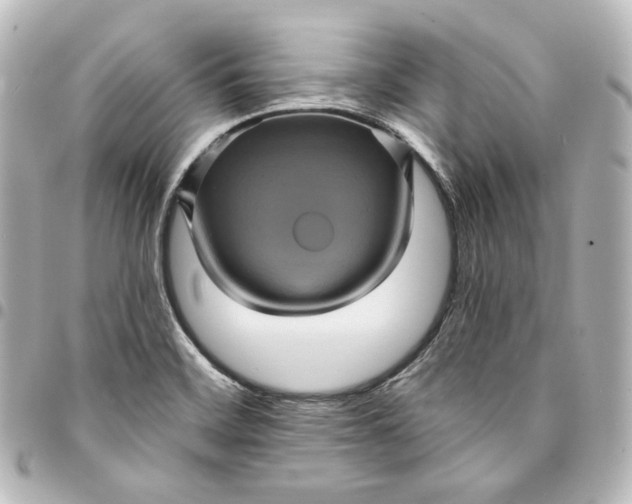 X0000095531468200712281511