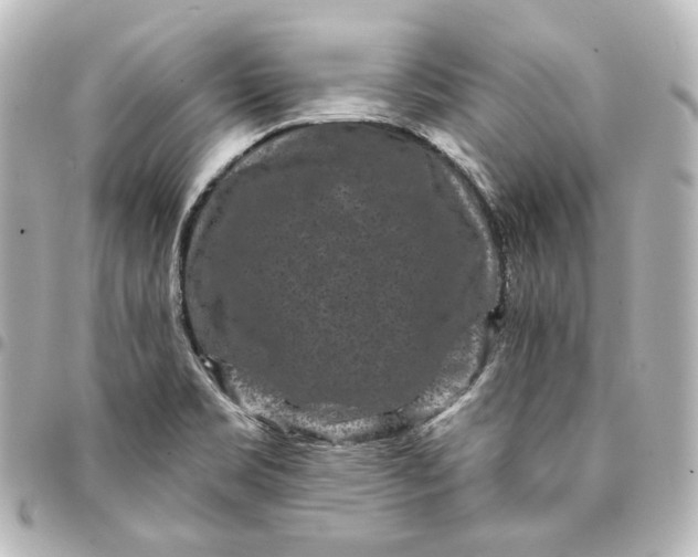 X0000095531469200712281511