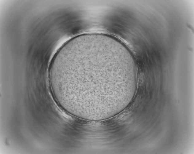 X0000095531470200712281511