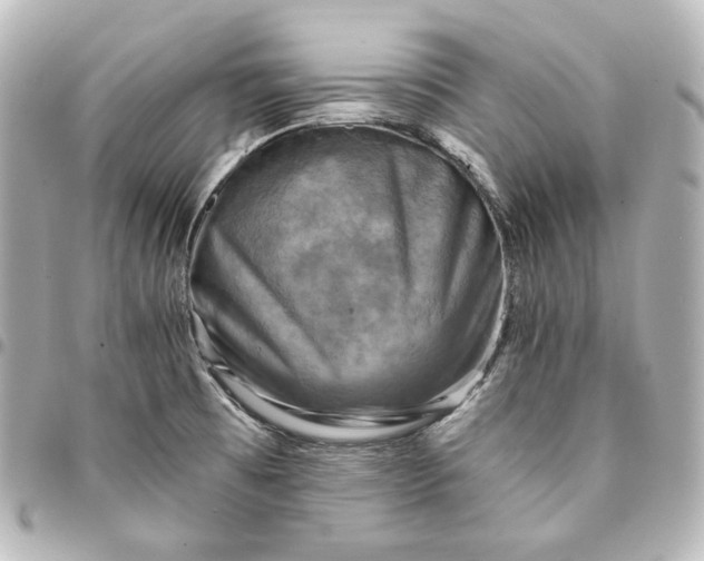 X0000095531473200712281511