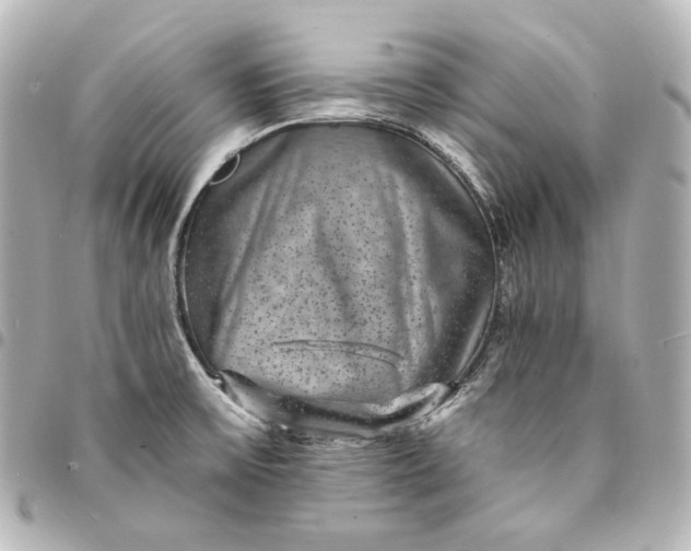 X0000095531475200712281511