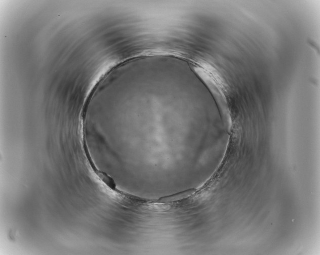 X0000095531476200712281511