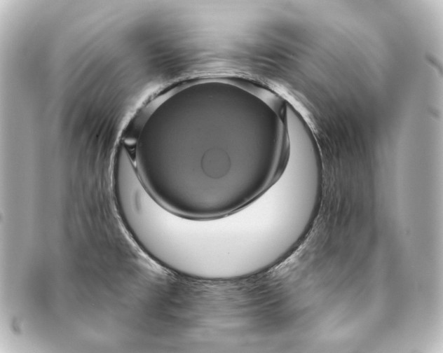 X0000095531477200712281511