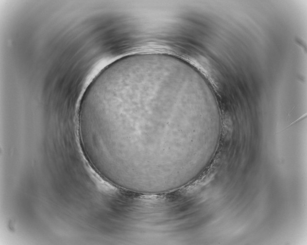 X0000095531478200712281511