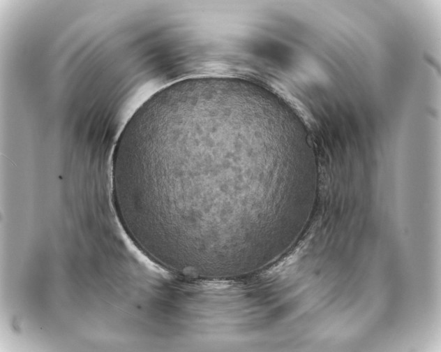 X0000095531479200712281511