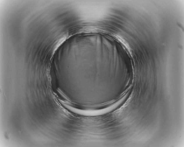 X0000095531481200712281511