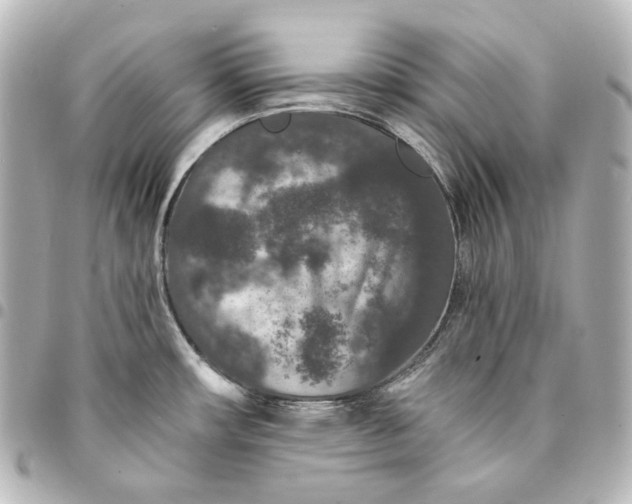 X0000095531482200712281511
