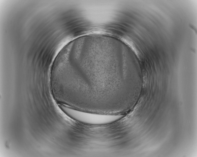 X0000095531483200712281511