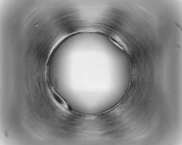 X0000095531484200712281511