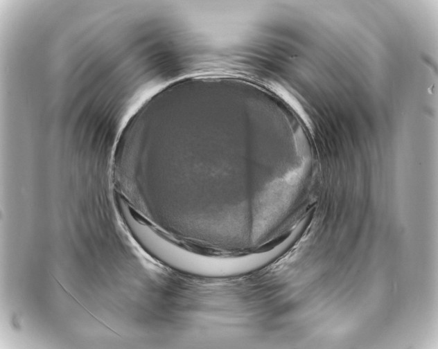 X0000095531485200712281511