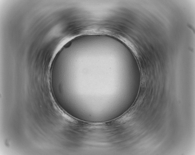 X0000095531486200712281511