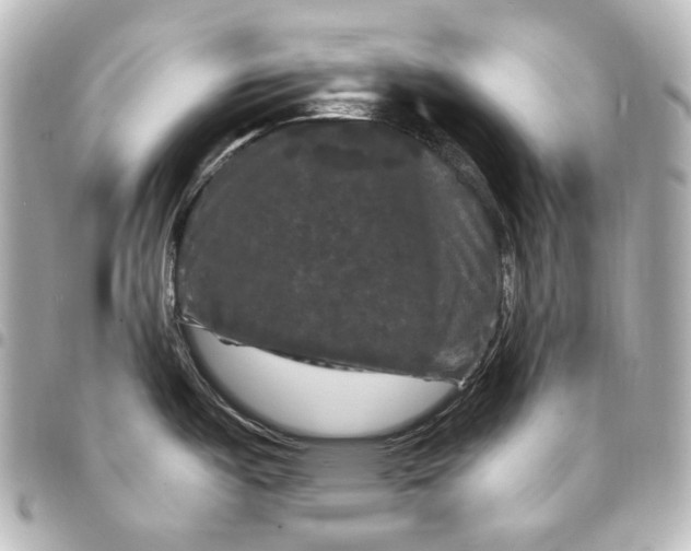 X0000095531487200712281511