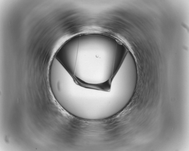 X0000095531488200712281511