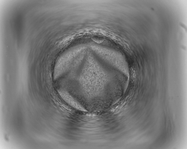 X0000095531489200712281510