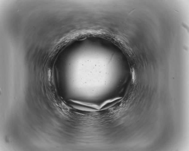 X0000095531492200712281510