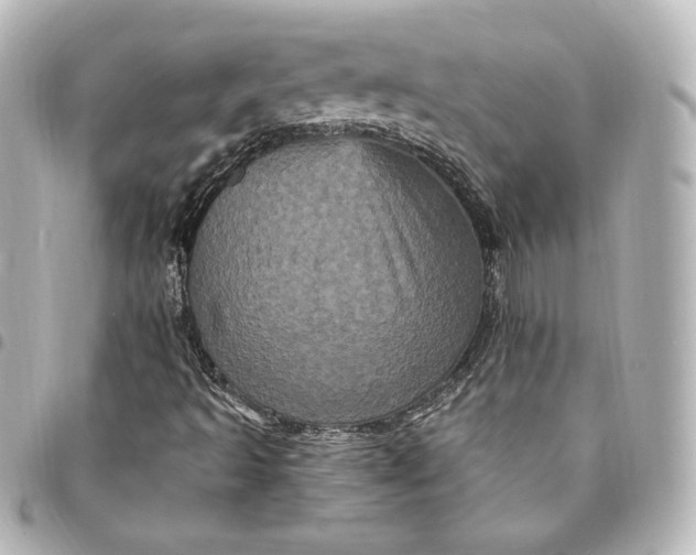 X0000095531493200712281510