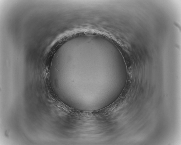 X0000095531495200712281510