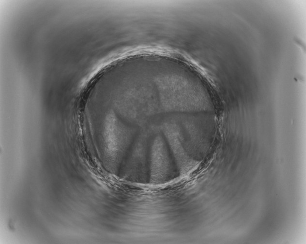 X0000095531496200712281511