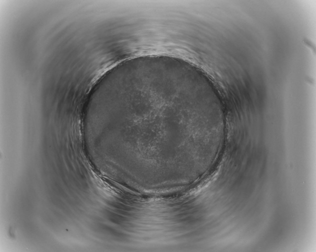 X0000095531497200712281511