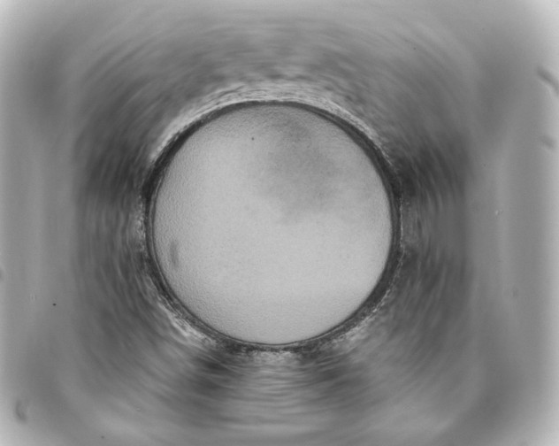 X0000095531498200712281511