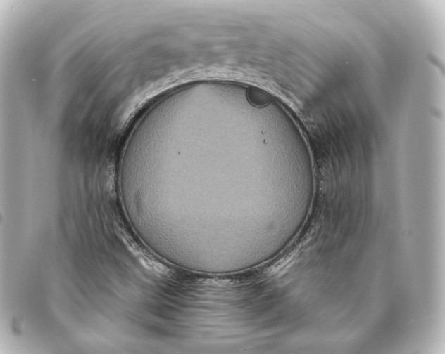 X0000095531499200712281511