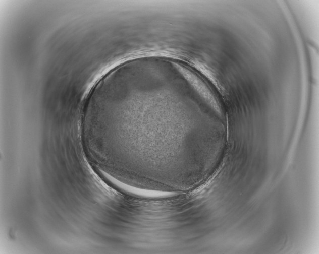 X0000095531500200712281511
