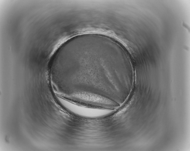 X0000095531501200712281511