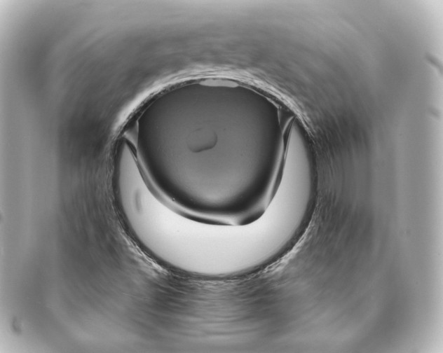X0000095531502200712281511