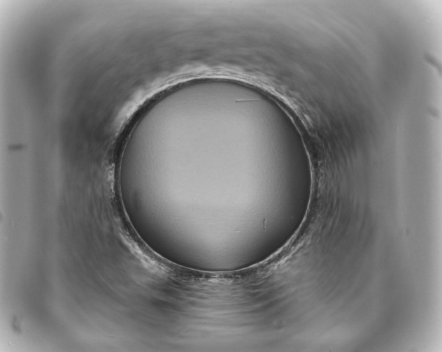 X0000095531503200712281511