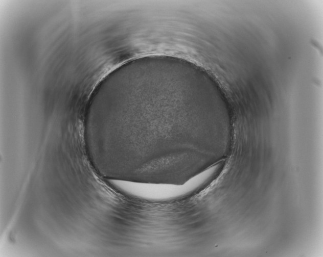 X0000095531505200712281511