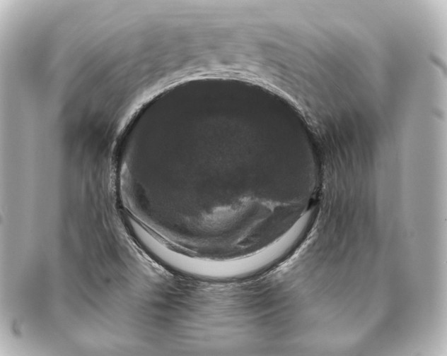 X0000095531506200712281511