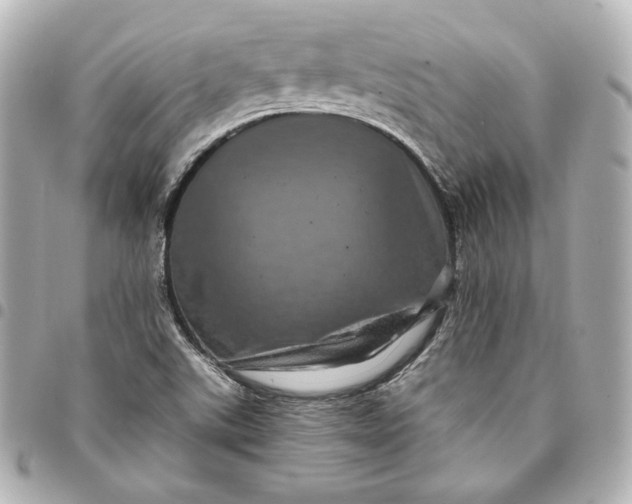 X0000095531507200712281511