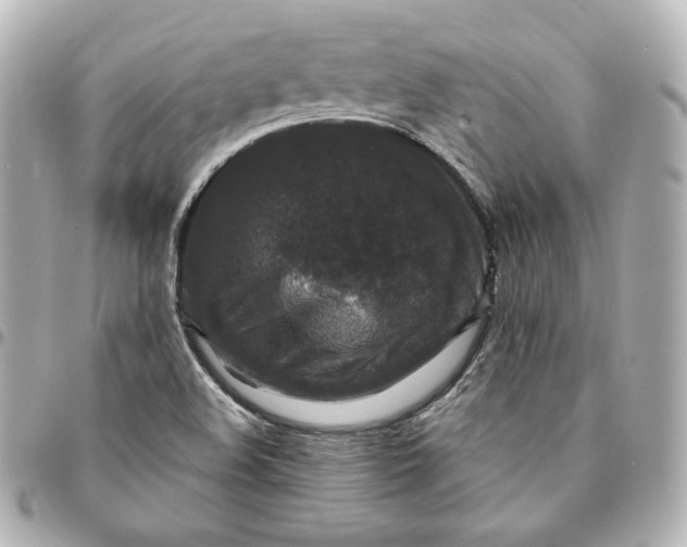 X0000095531508200712281511