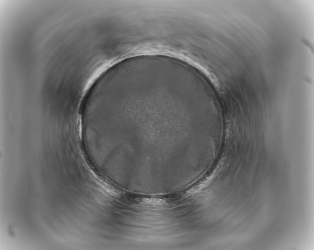 X0000095531509200712281511