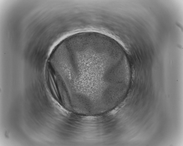 X0000095531510200712281511