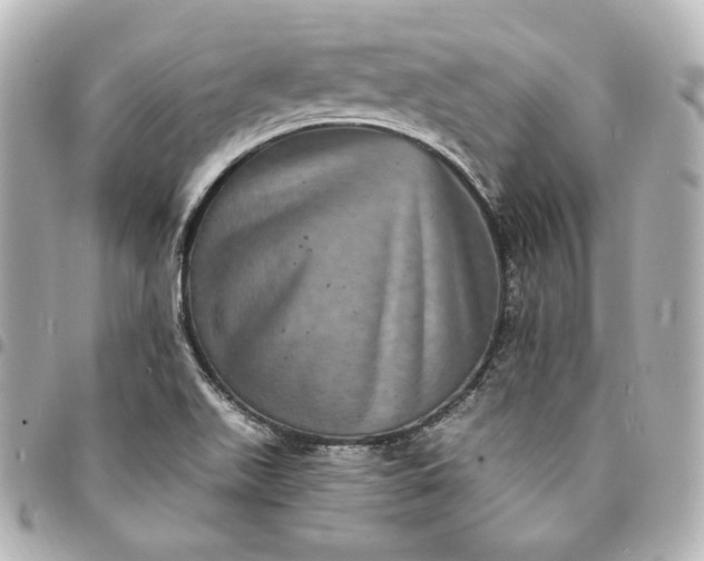 X0000095531511200712281511