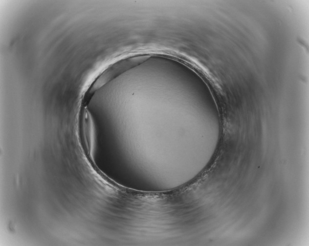 X0000095531512200712281511