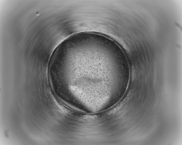 X0000095531513200712281511