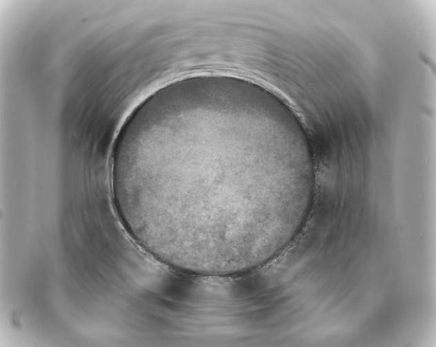 X0000095531514200712281511