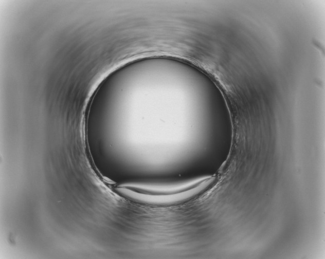 X0000095531516200712281511