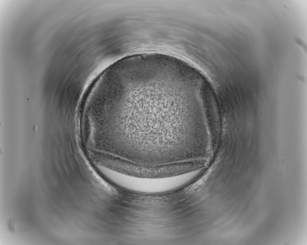 X0000095531517200712281511