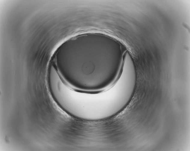 X0000095531518200712281511