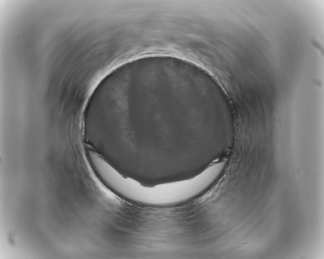 X0000095531519200712281511