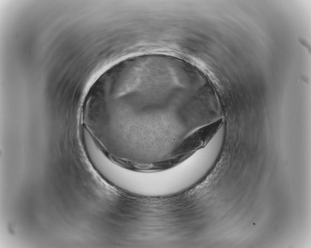 X0000095531520200712281511