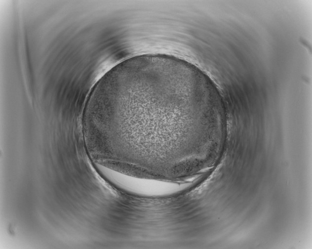 X0000095531521200712281511