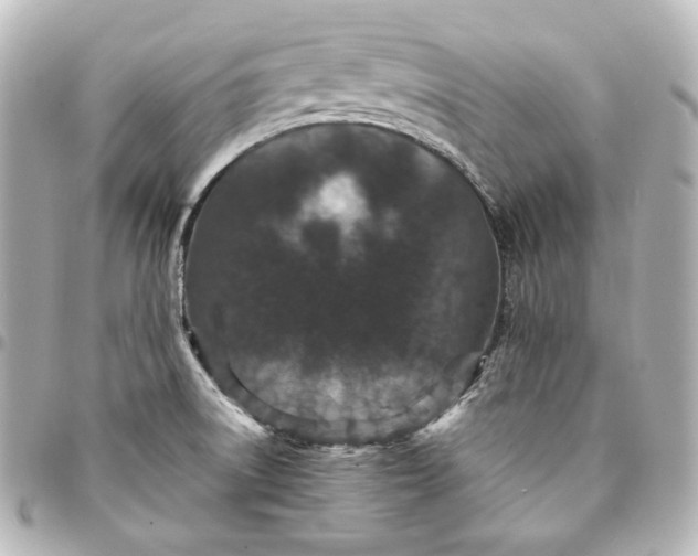 X0000095531522200712281511