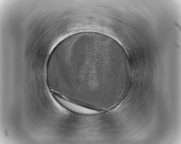 X0000095531523200712281511
